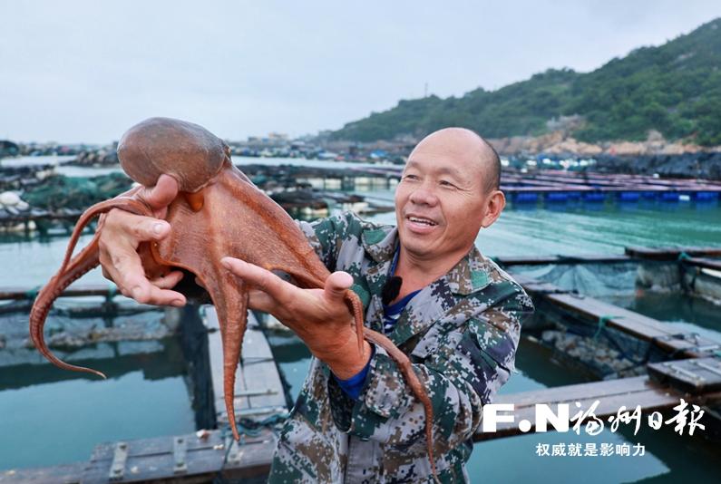 连江“海洋牧场”奏响丰收乐章