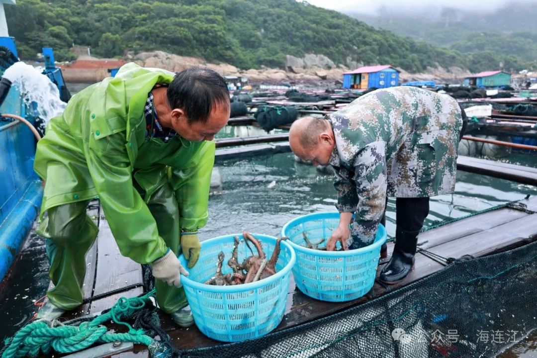 20多万！福州人有口福了！正大量上市！