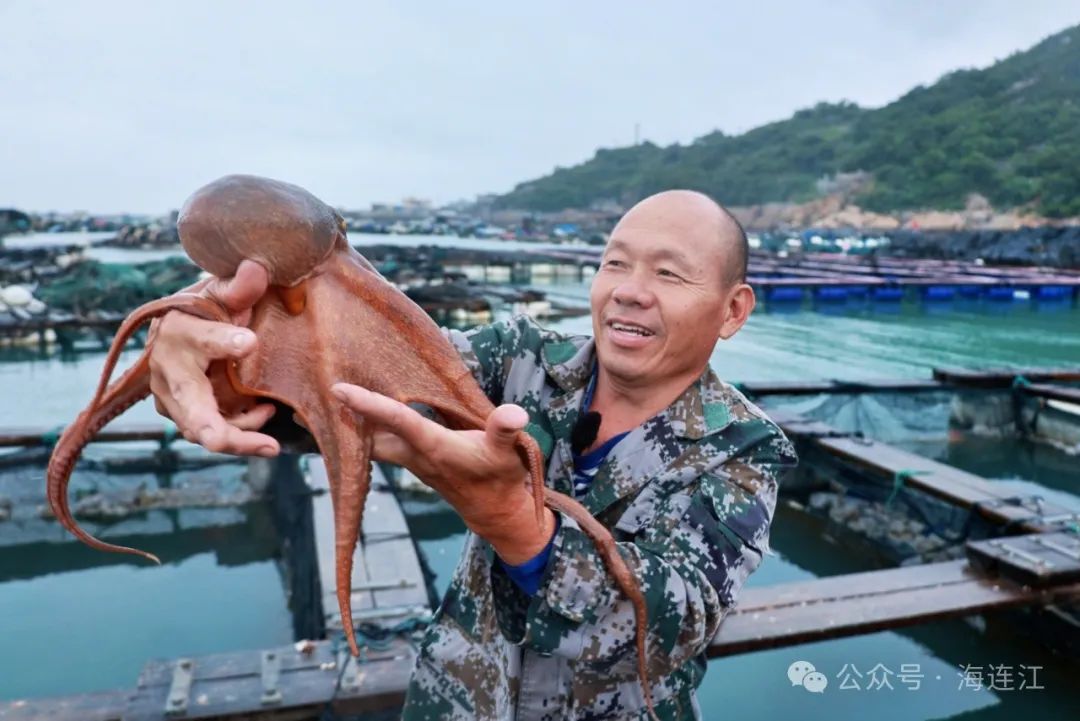 20多万！福州人有口福了！正大量上市！