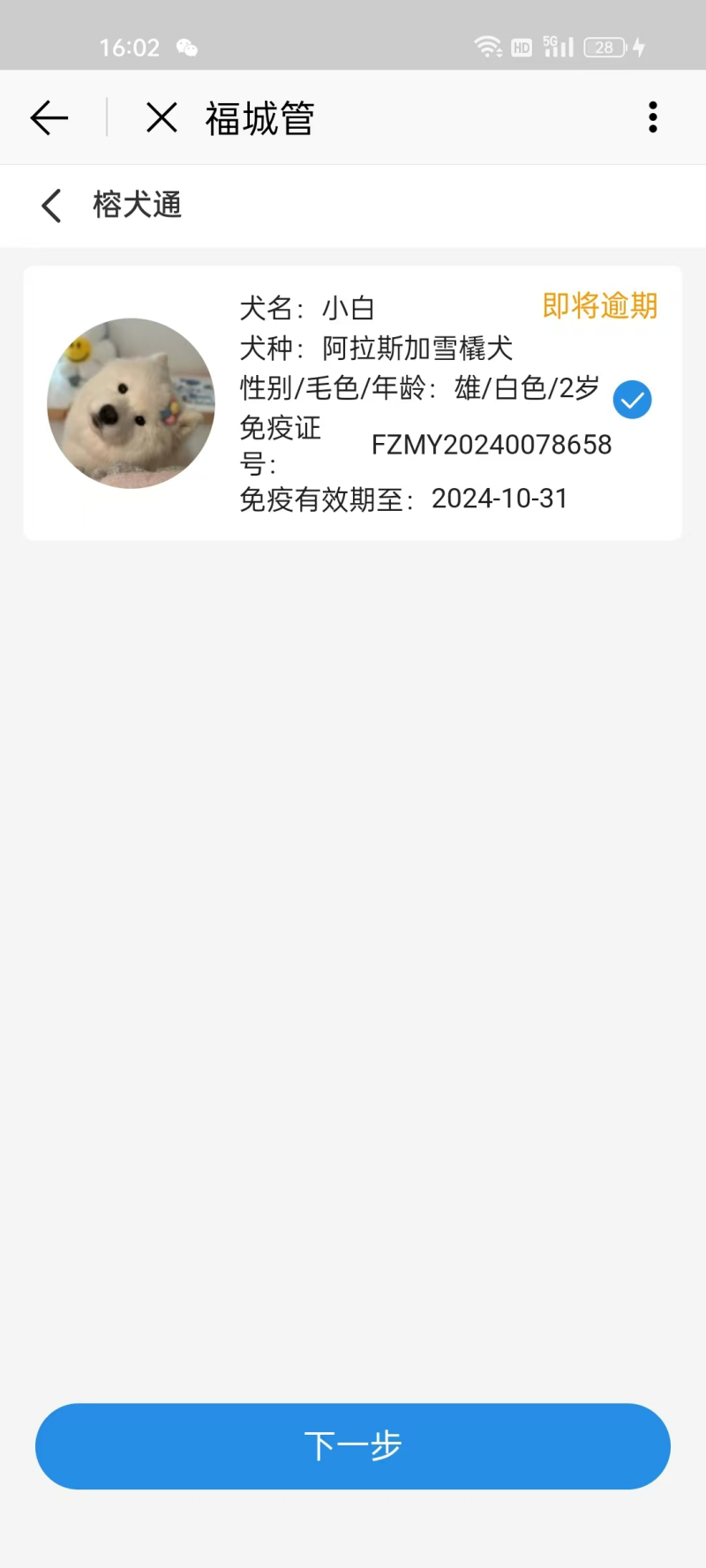 犬只狂犬疫苗到期须重新接种！免疫更新指南来了