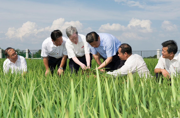 牢记总书记的嘱托 | 闪亮足迹 荆楚答卷