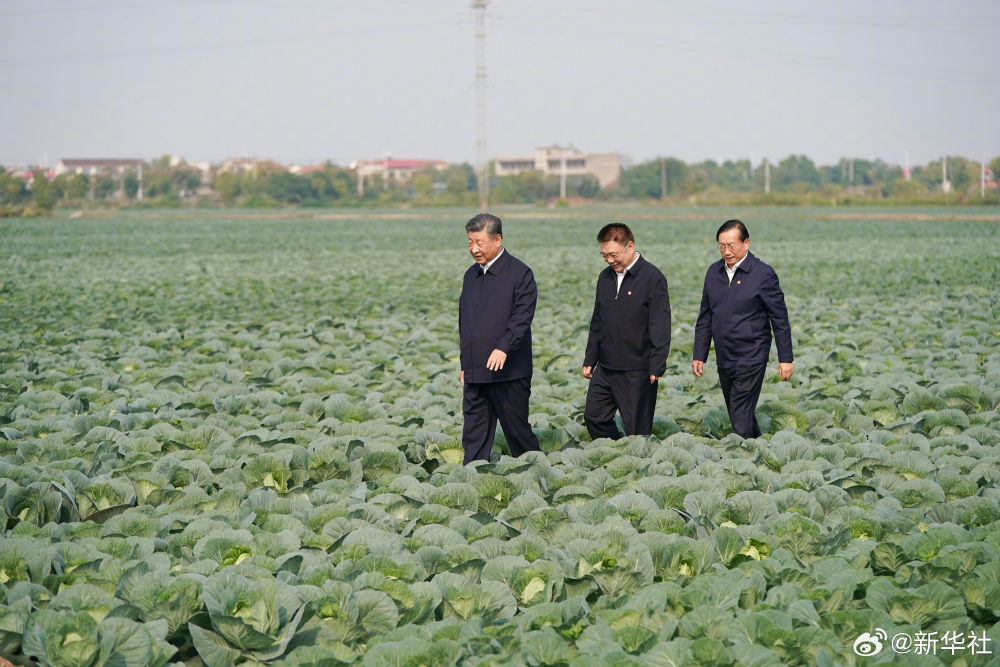 习近平：推进中国式现代化，必须加快推进乡村振兴