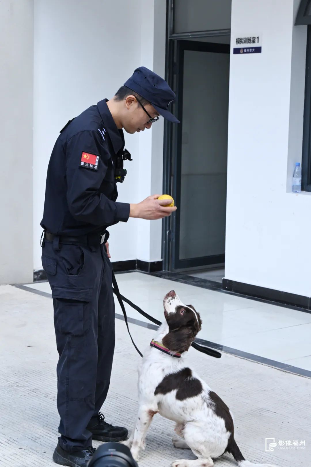 福州警犬“神一样的队友”是怎样练成的？