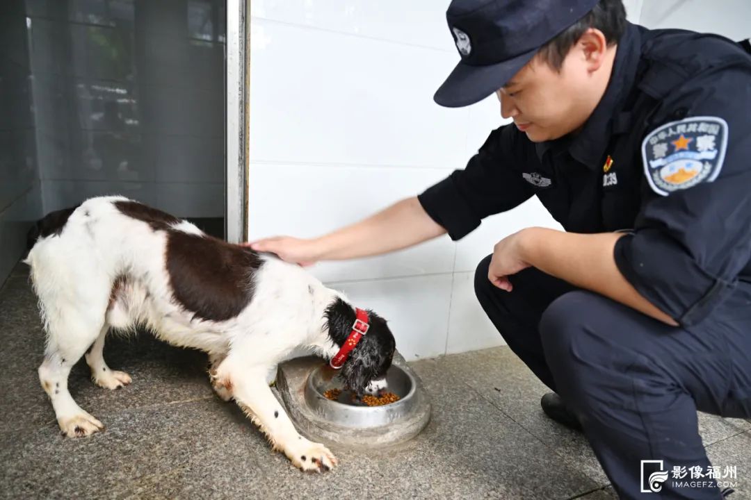 福州警犬“神一样的队友”是怎样练成的？