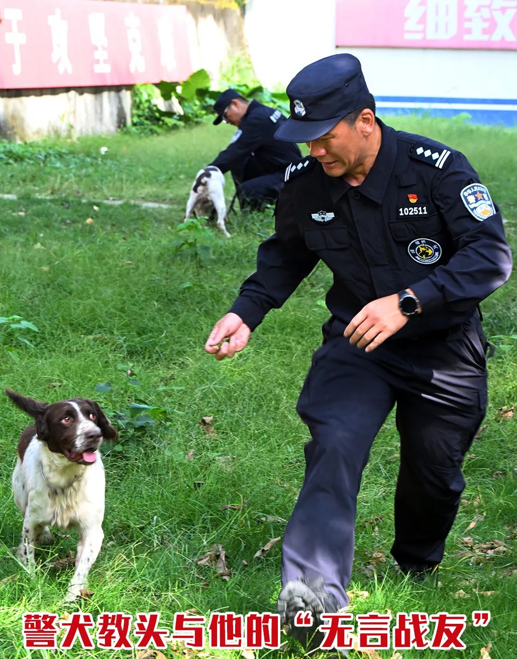 福州警犬“神一样的队友”是怎样练成的？