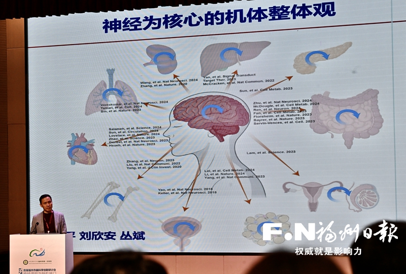 脑科学时代到来，福州如何发力？