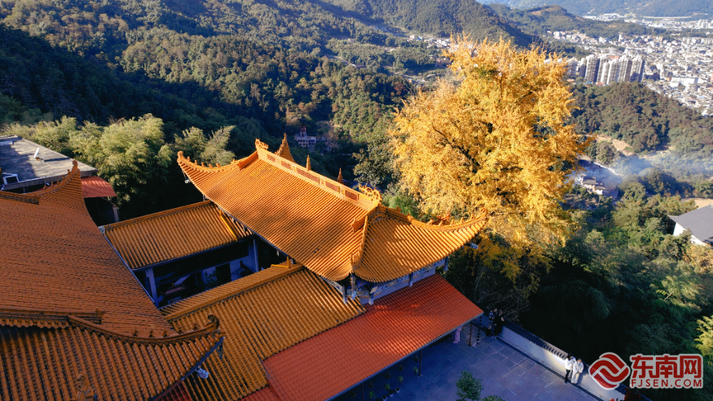 来福建，邂逅小“杏”运！