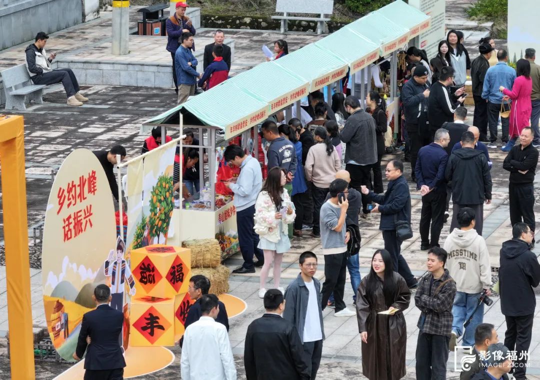 福州脐橙开采！共赴丰收之旅！