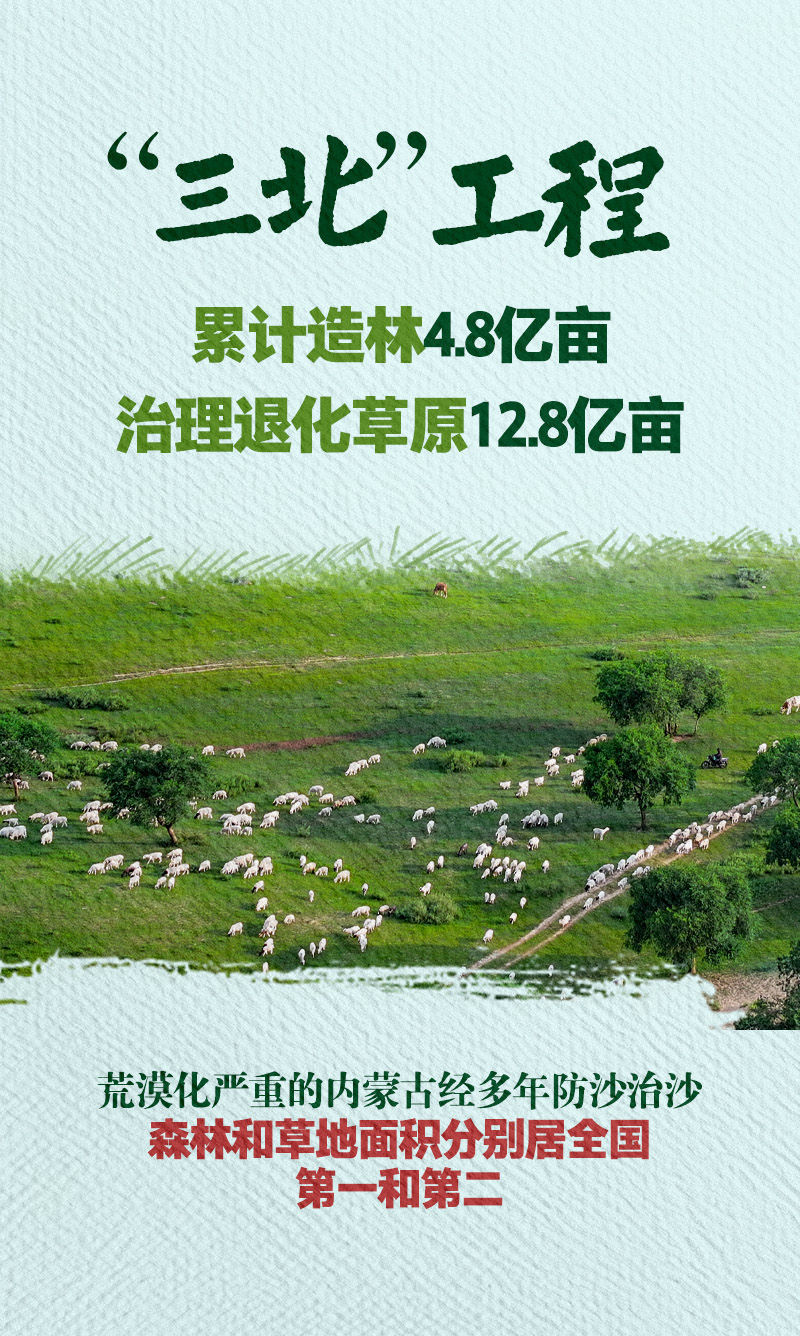 再迎风口！十个关键词重新定义中国西部丨新华深读