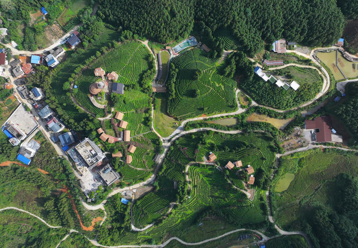 再迎风口！十个关键词重新定义中国西部丨新华深读