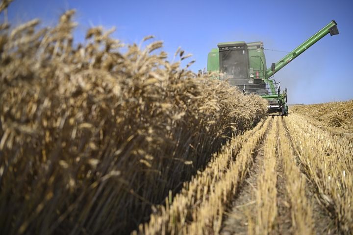 再迎风口！十个关键词重新定义中国西部丨新华深读