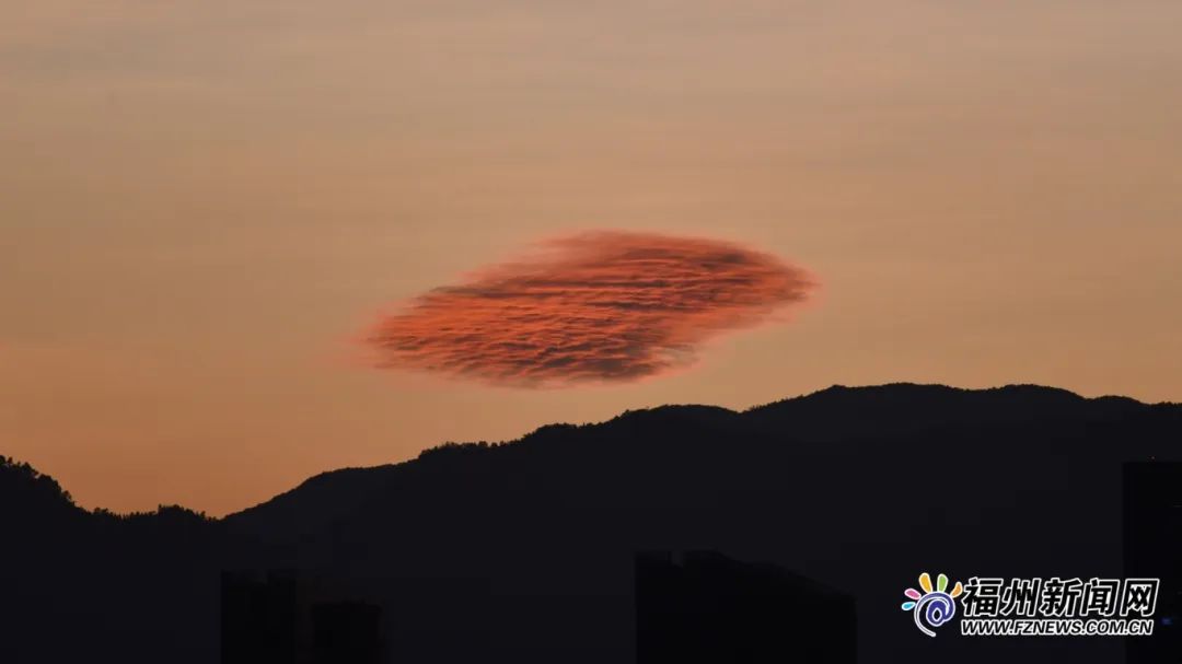 看！福州上空有“羽毛”在飘