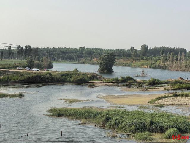 一家6口被冲走 救援队长收15万消失