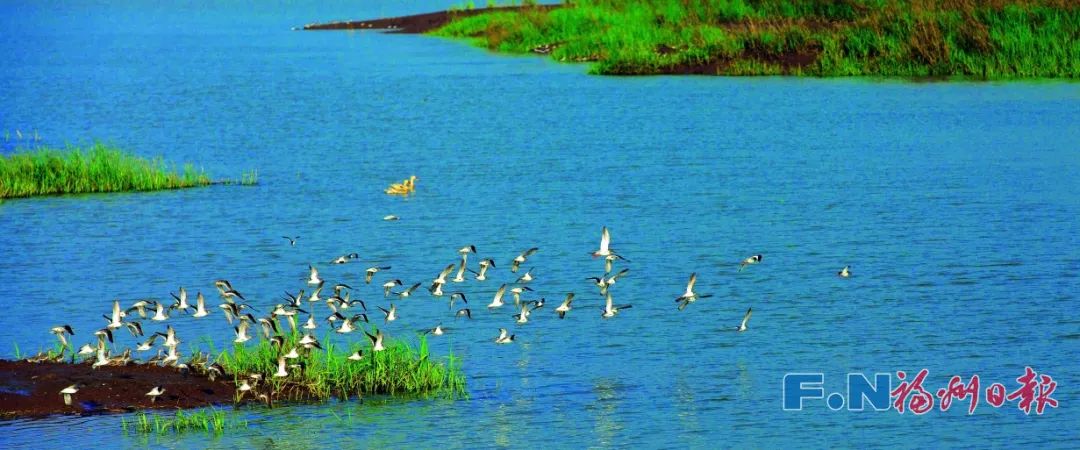 首次！全球直播！就在这里！