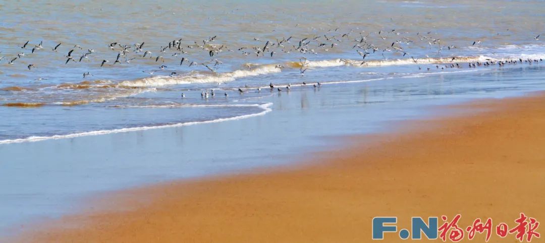 首次！全球直播！就在这里！