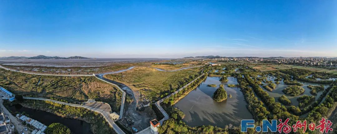 首次！全球直播！就在这里！