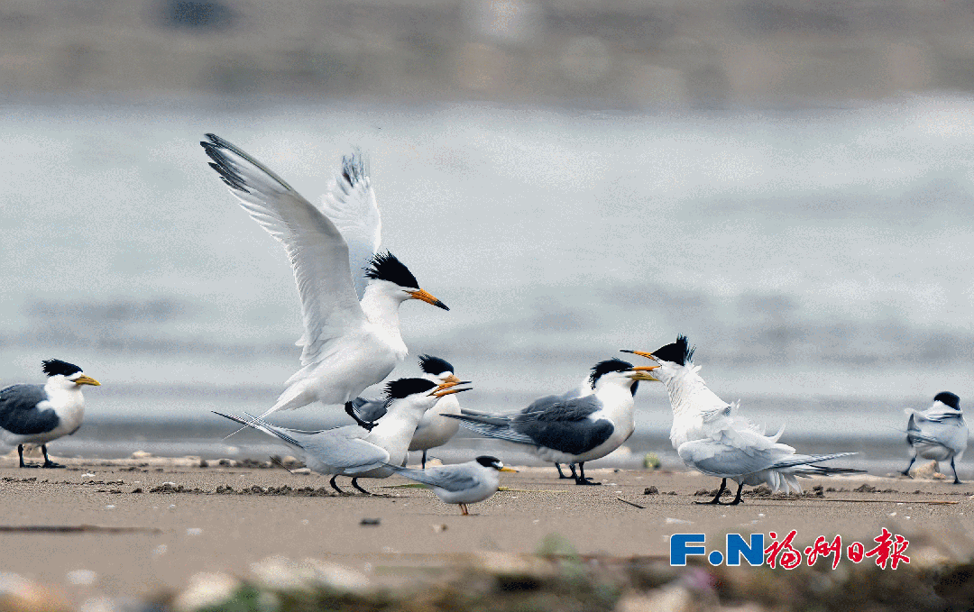 首次！全球直播！就在这里！