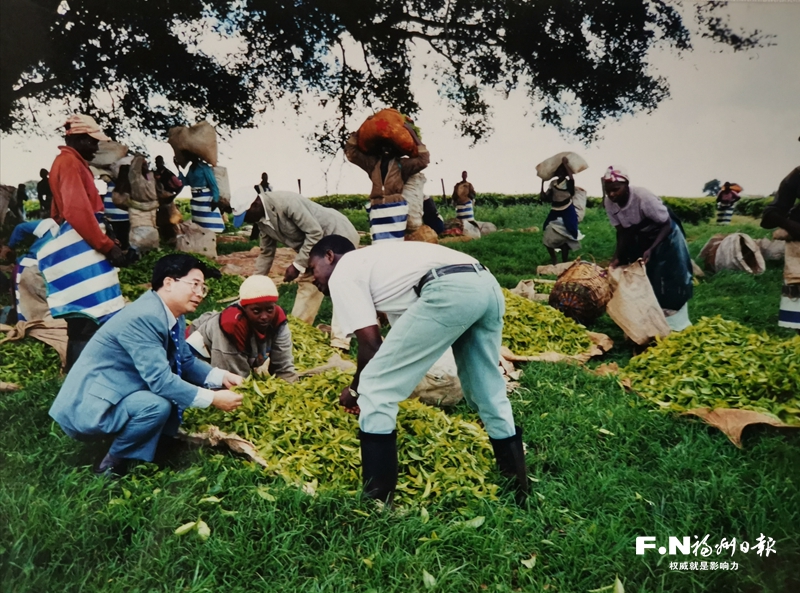 左海会客厅｜何昌垂：我的联合国之路