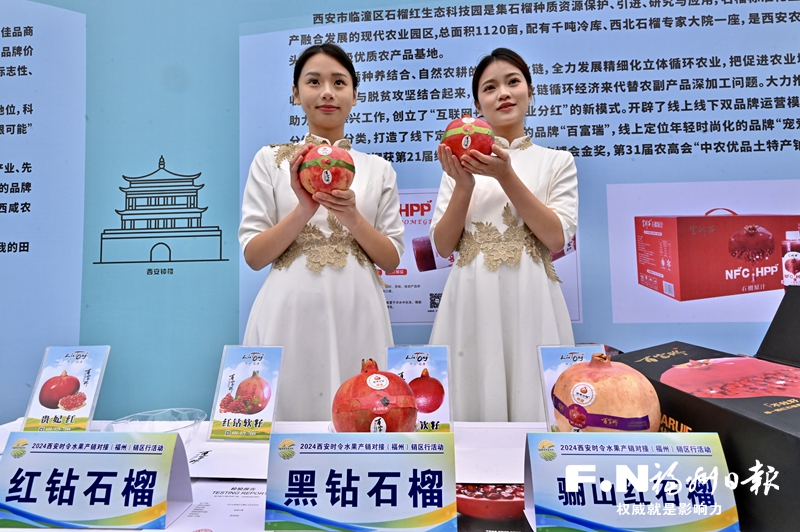 西安特色水果来榕推介