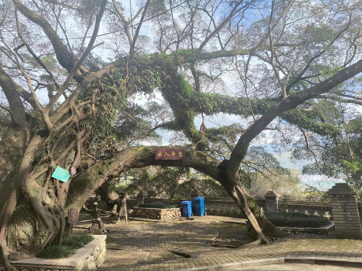 福建闽侯古榕“宝藏”公园提升群众获得感和幸福感