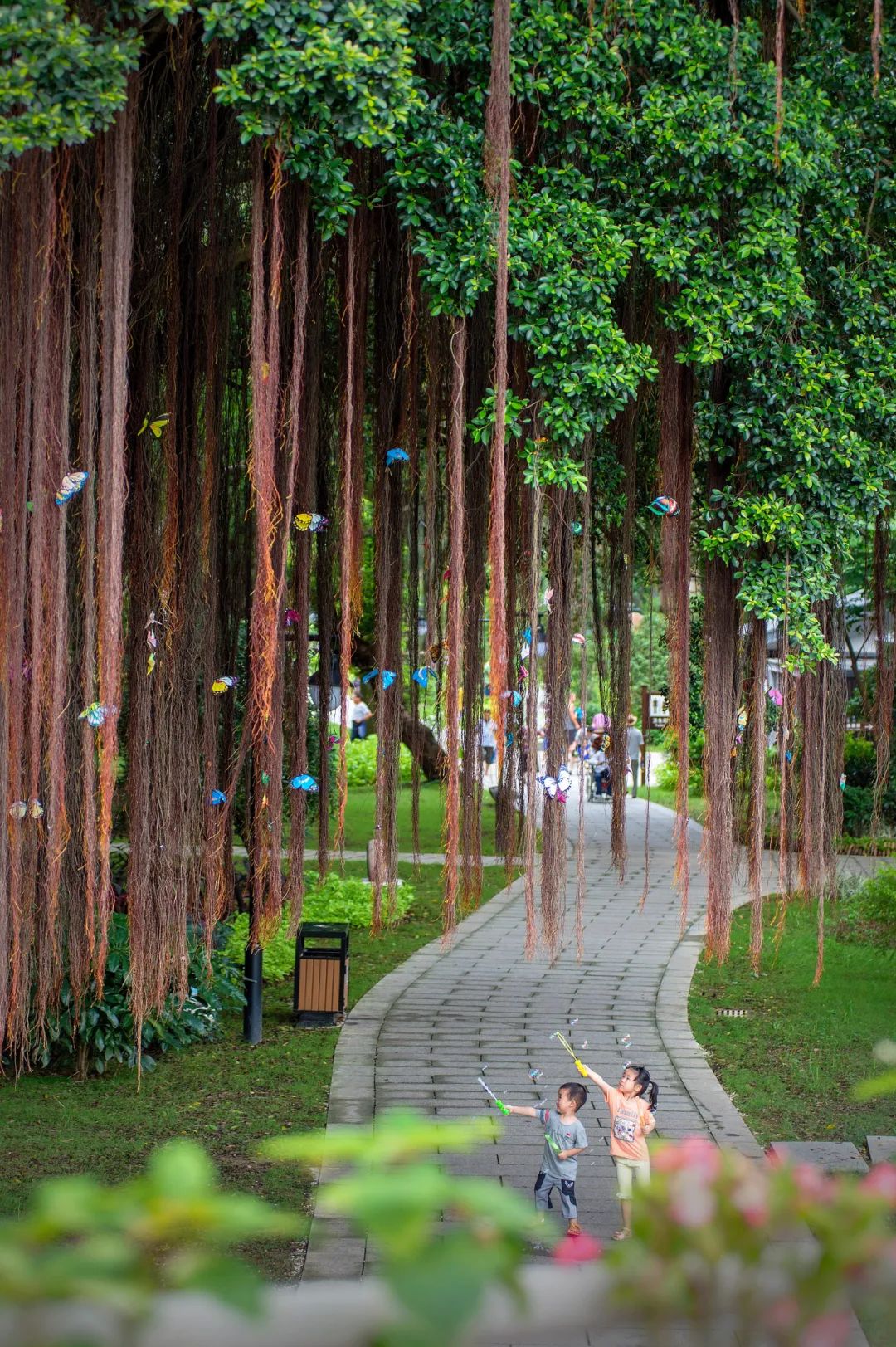 丫霸！凤凰传奇花式推荐福州