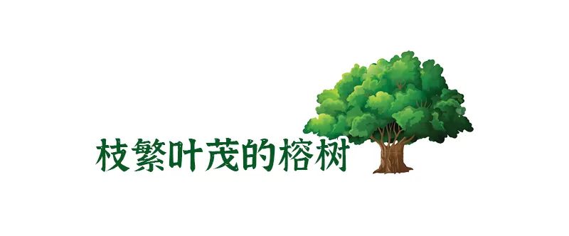 丫霸！凤凰传奇花式推荐福州