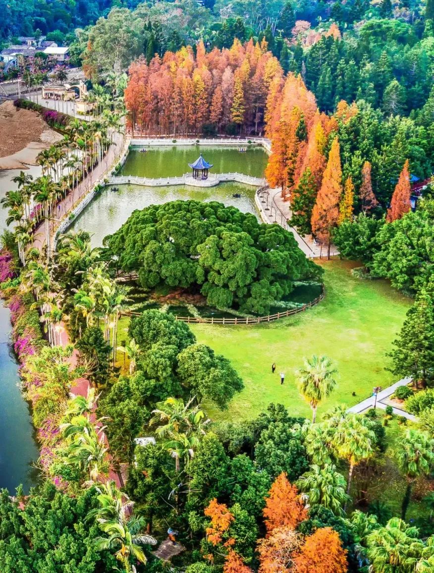 丫霸！凤凰传奇花式推荐福州