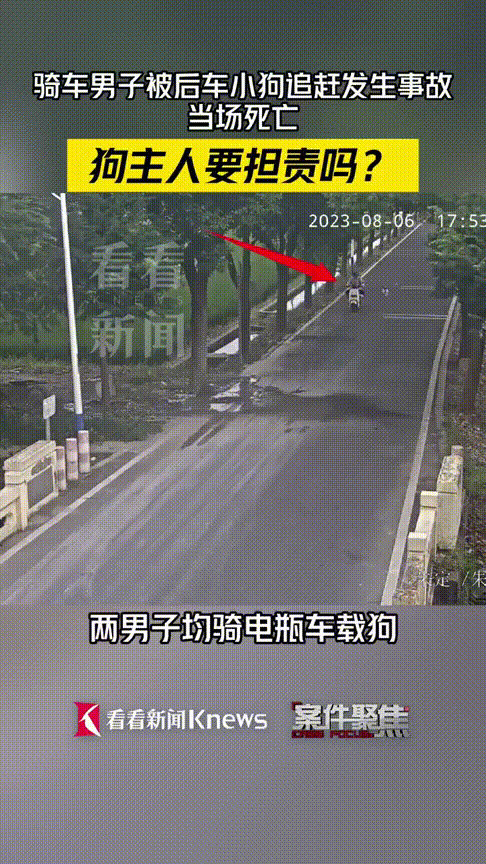 男子被狗追撞树身亡 狗主人担责吗