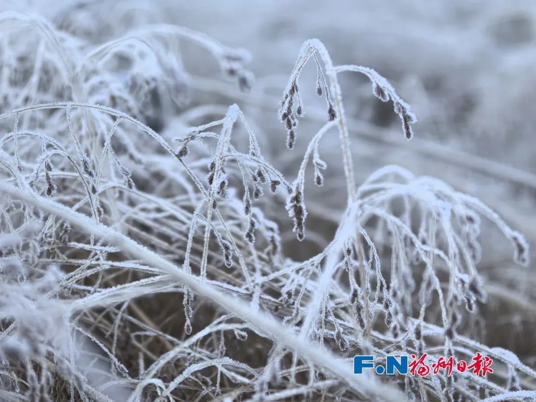 就在福州！今早已出现……白茫茫一片