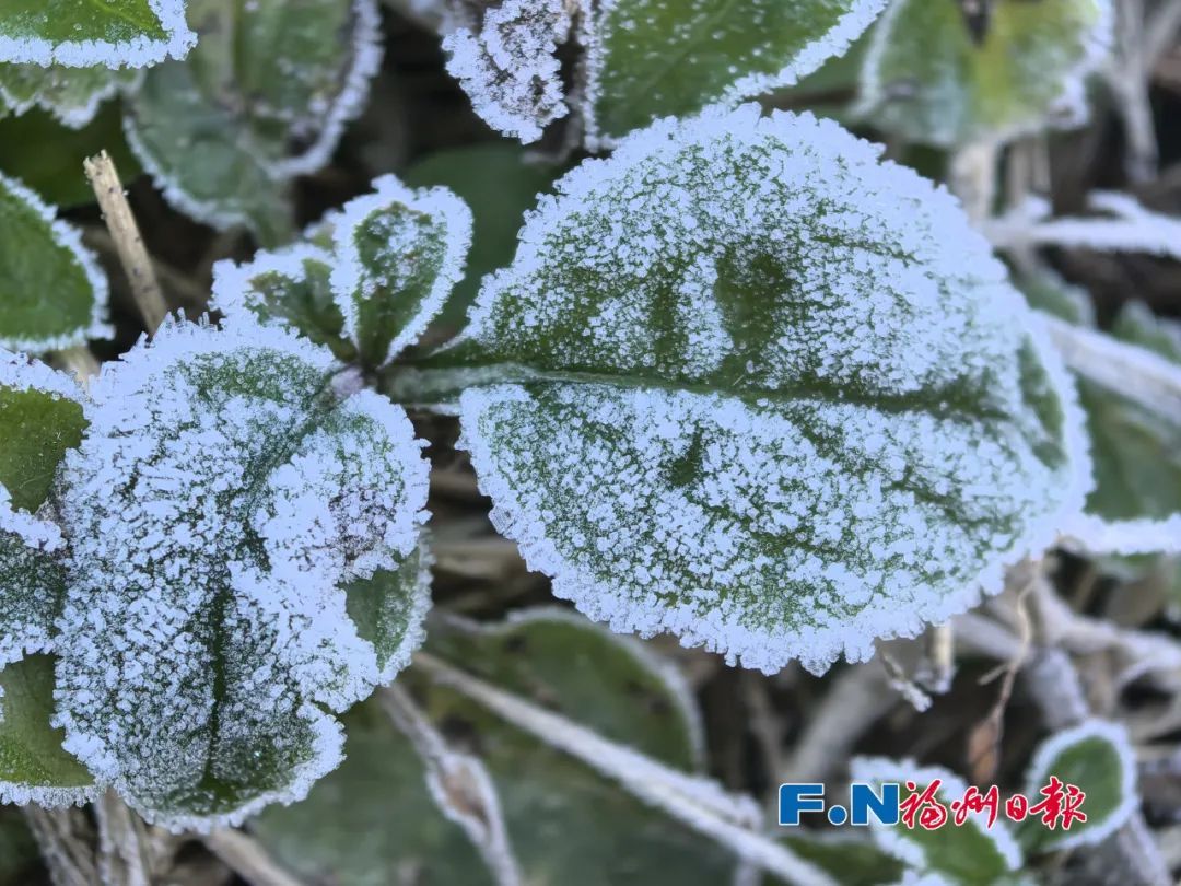 就在福州！今早已出现……白茫茫一片