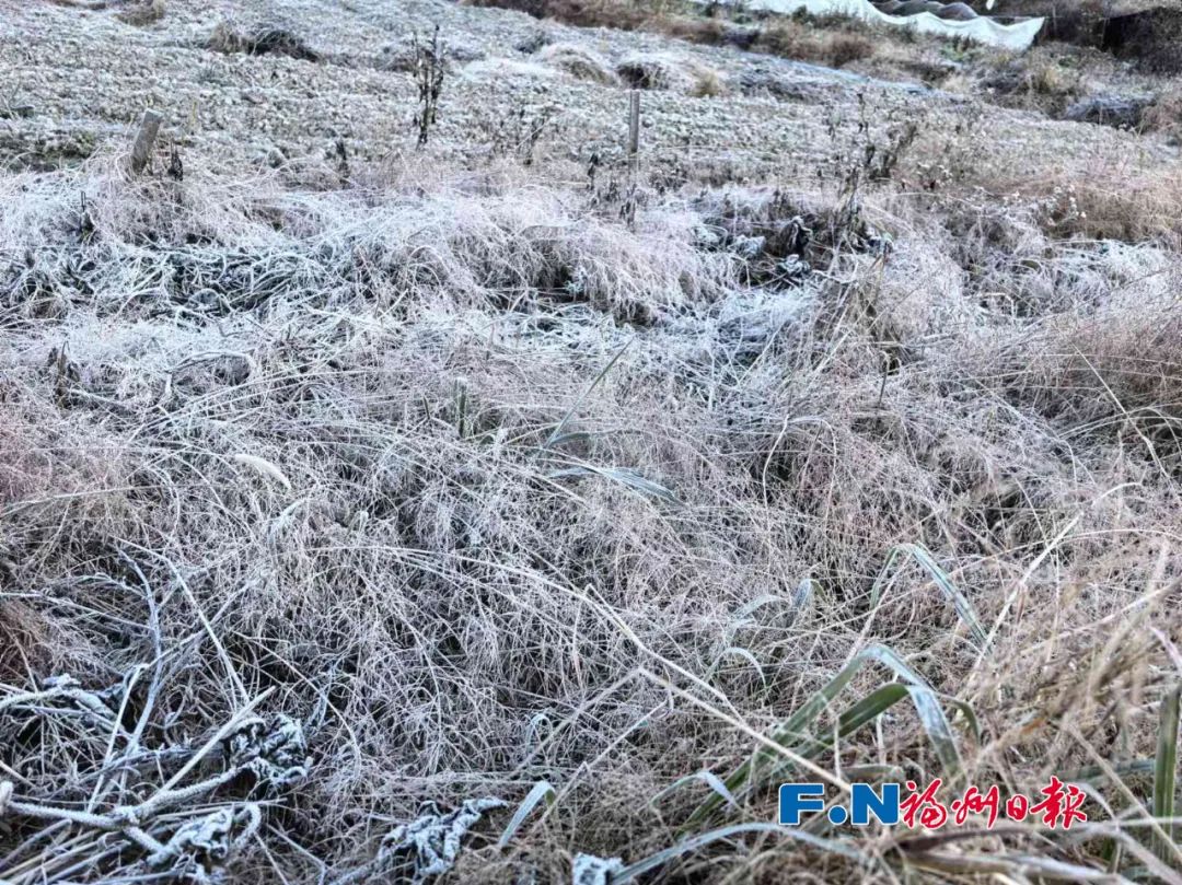 就在福州！今早已出现……白茫茫一片