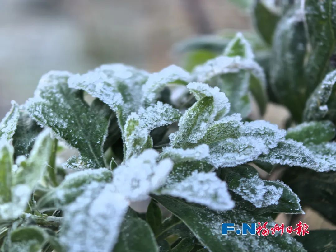 就在福州！今早已出现……白茫茫一片