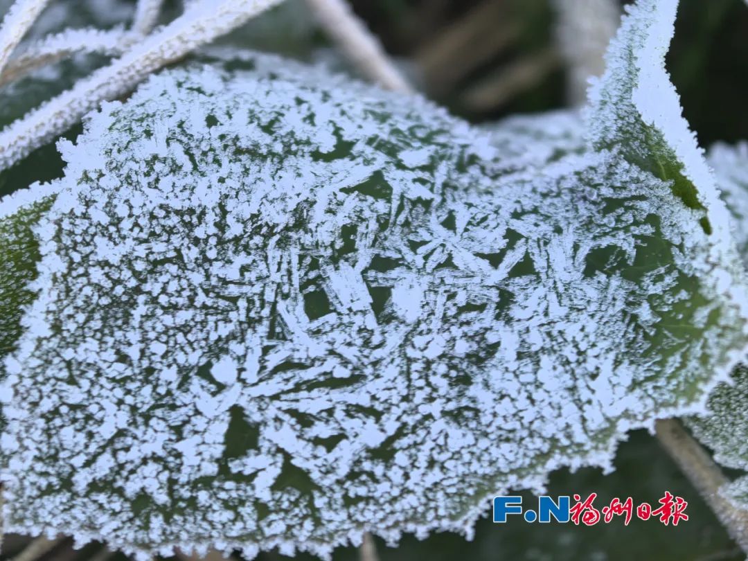 就在福州！今早已出现……白茫茫一片