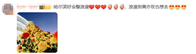 哈尔滨文旅回复刘亦菲冲上热搜，网友：尔滨这次你真的赢麻了！