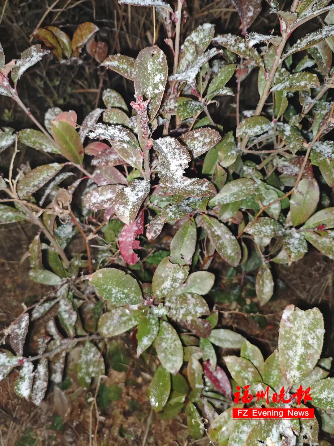 福州下雪了