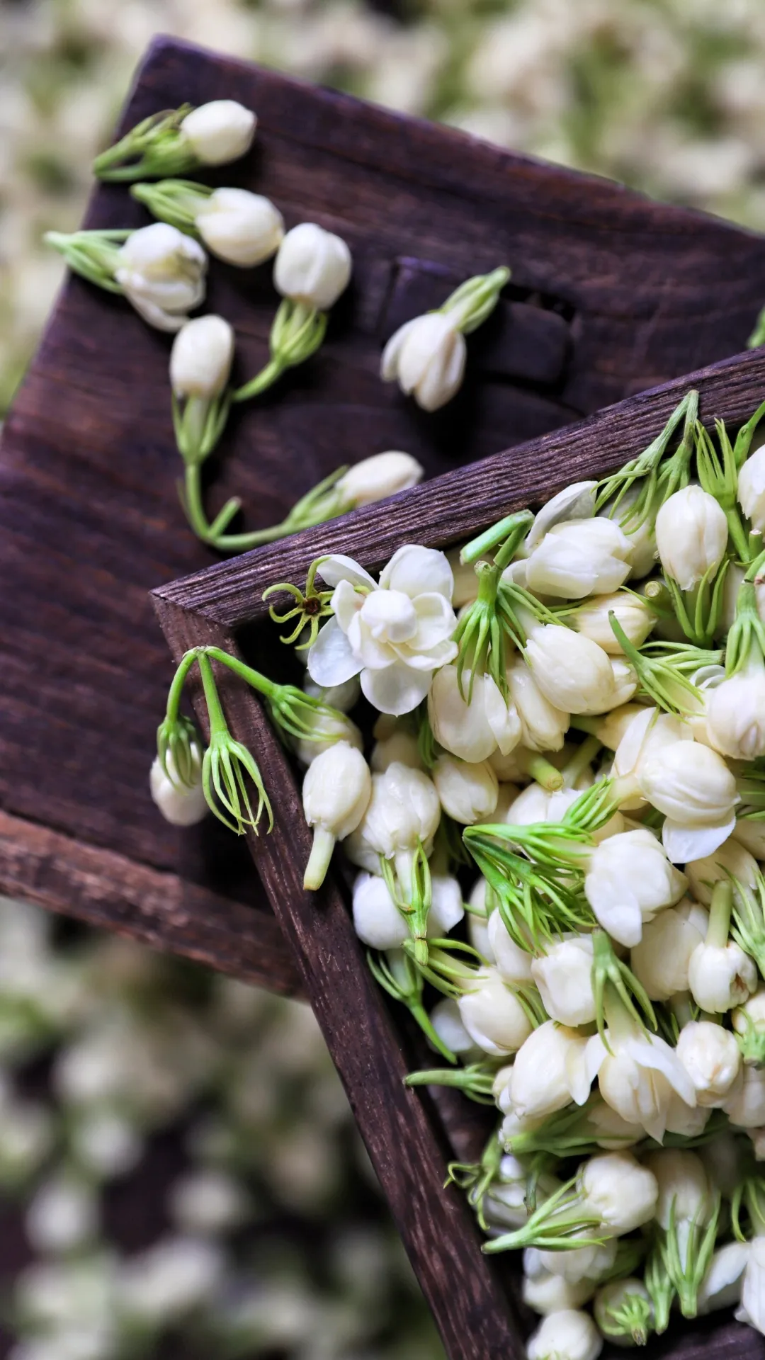 周末！打卡张韶涵歌词里的福州