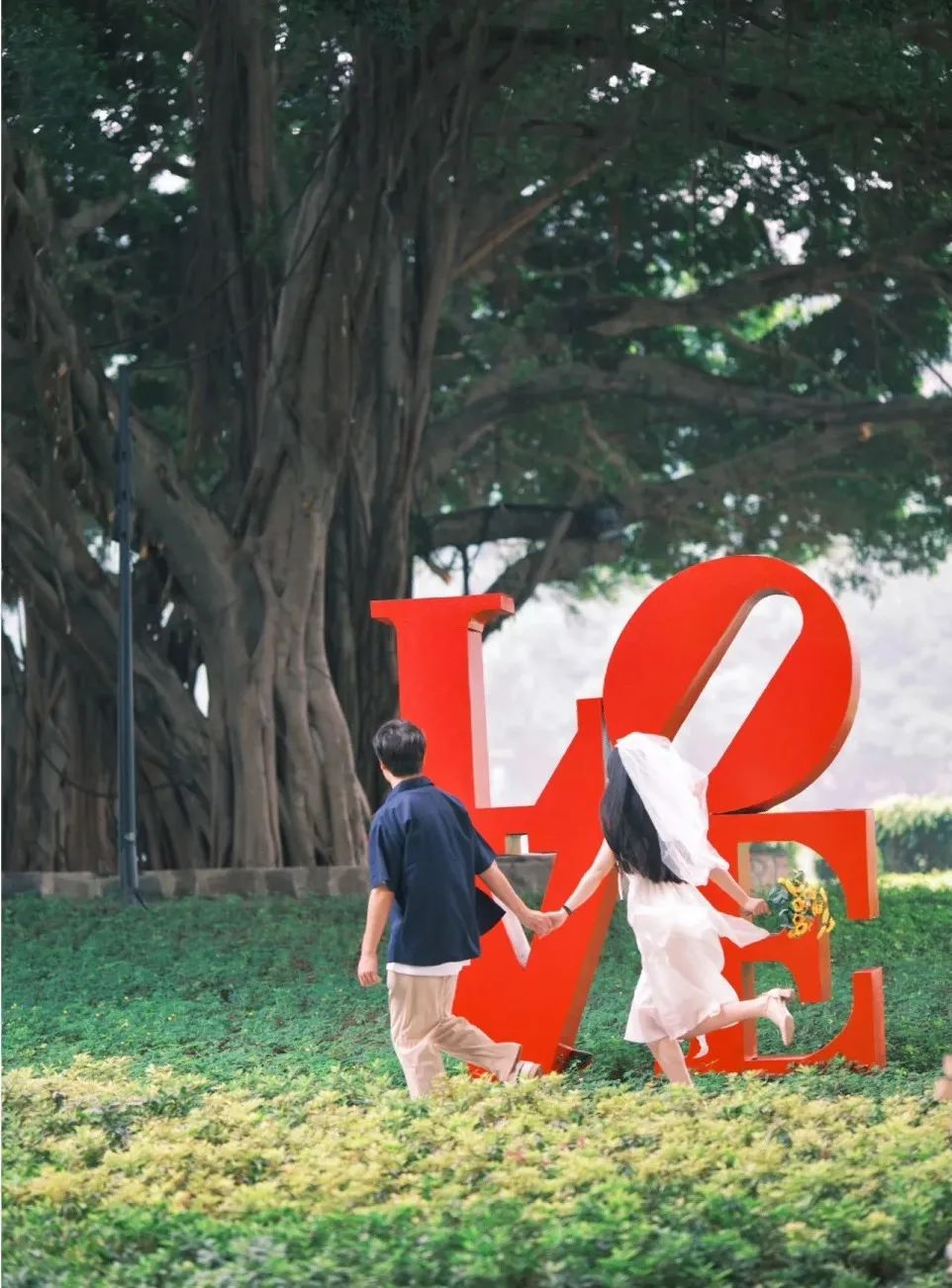 周末！打卡张韶涵歌词里的福州