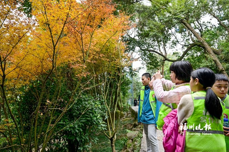 福州晚报写作训练营探访石鼓名山：感受登山情缘 领略登高文化