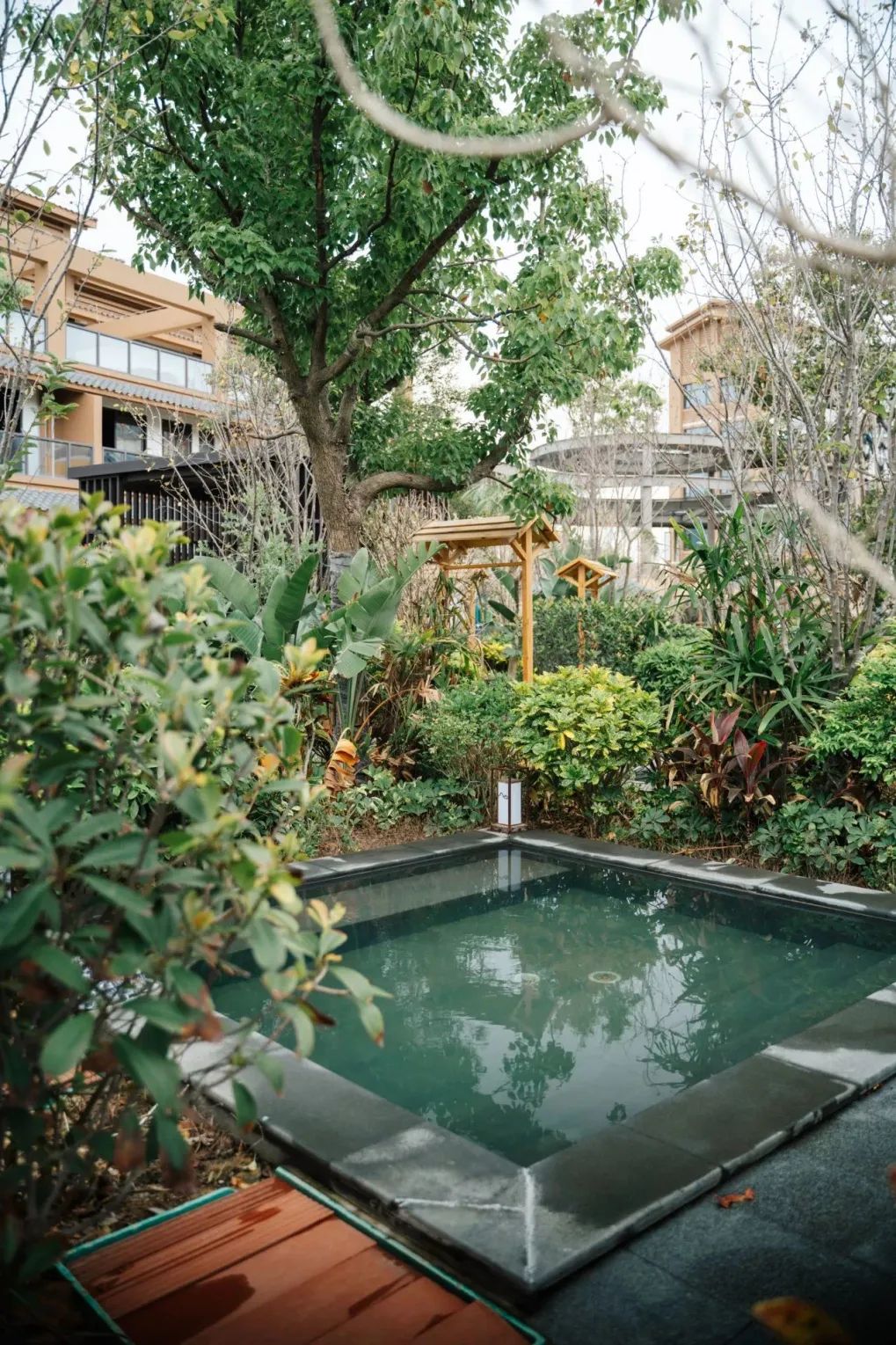 降温了，泡温泉才是正经事