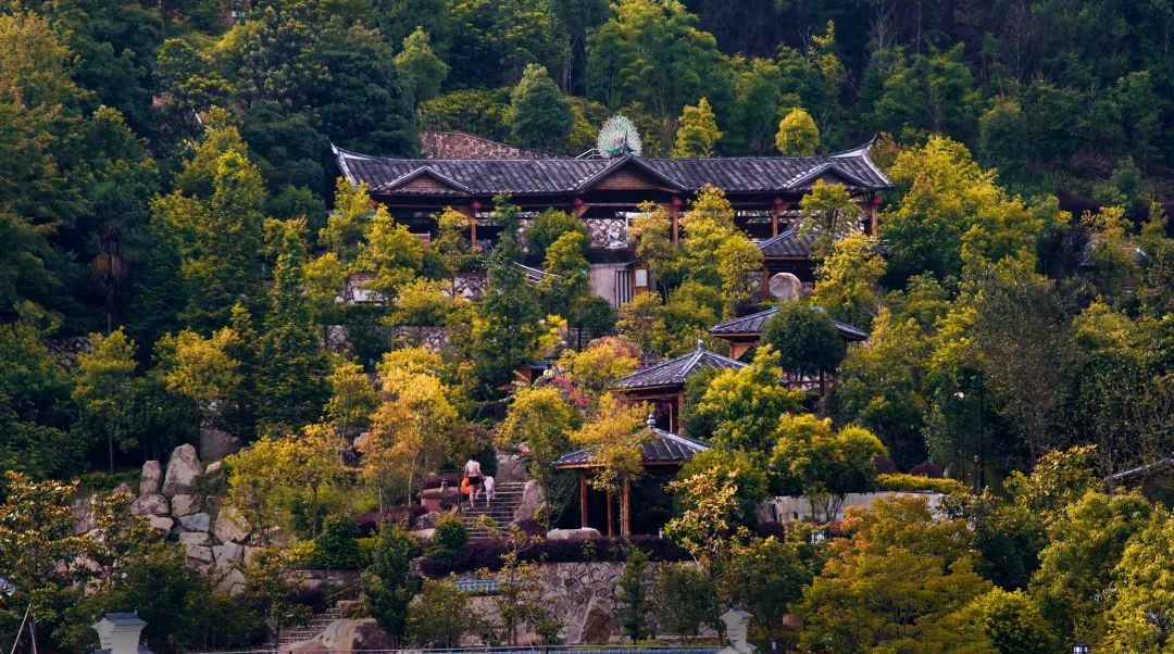 降温了，泡温泉才是正经事