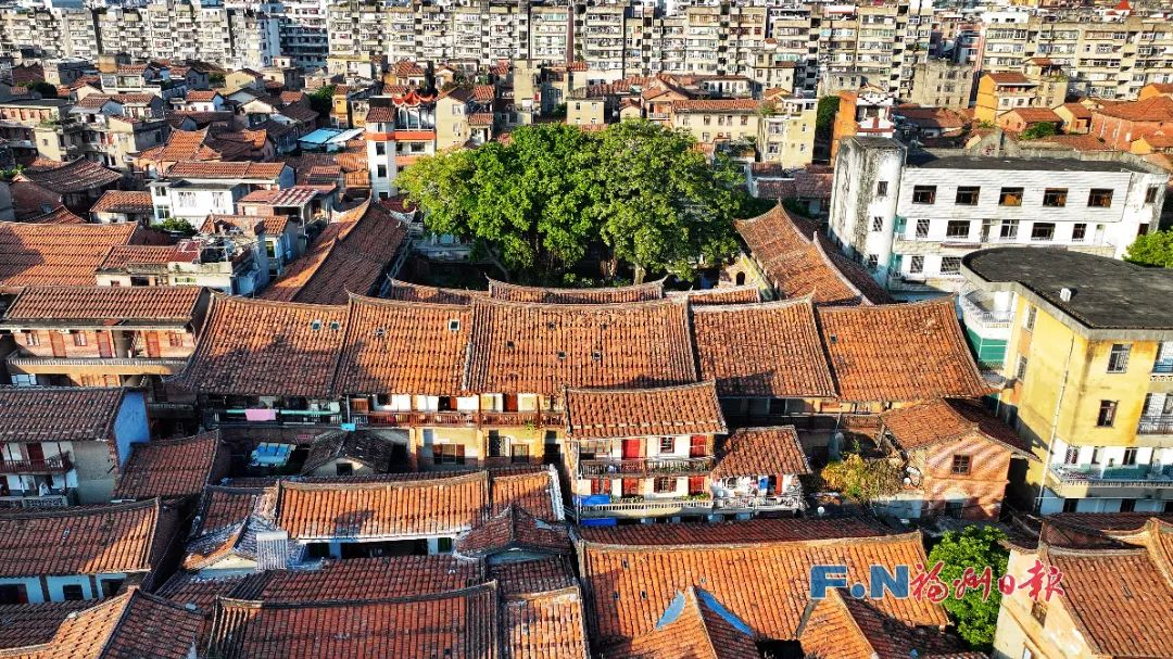 即将“出道”！距离福州不到一小时→