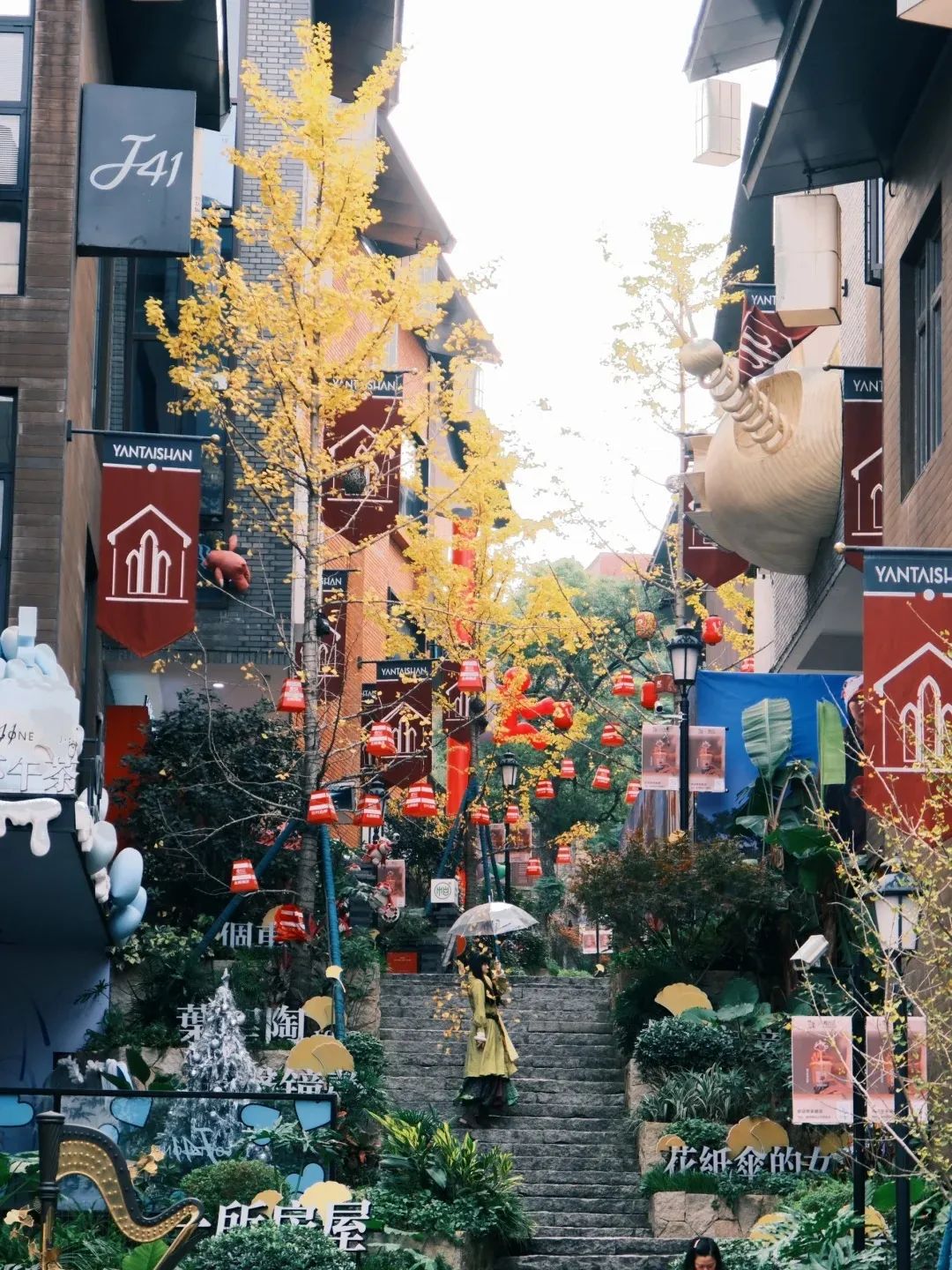 烟台山的银杏，黄了！