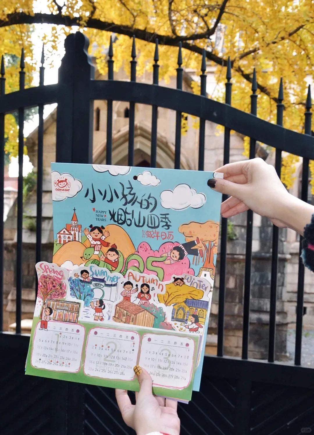 烟台山的银杏，黄了！