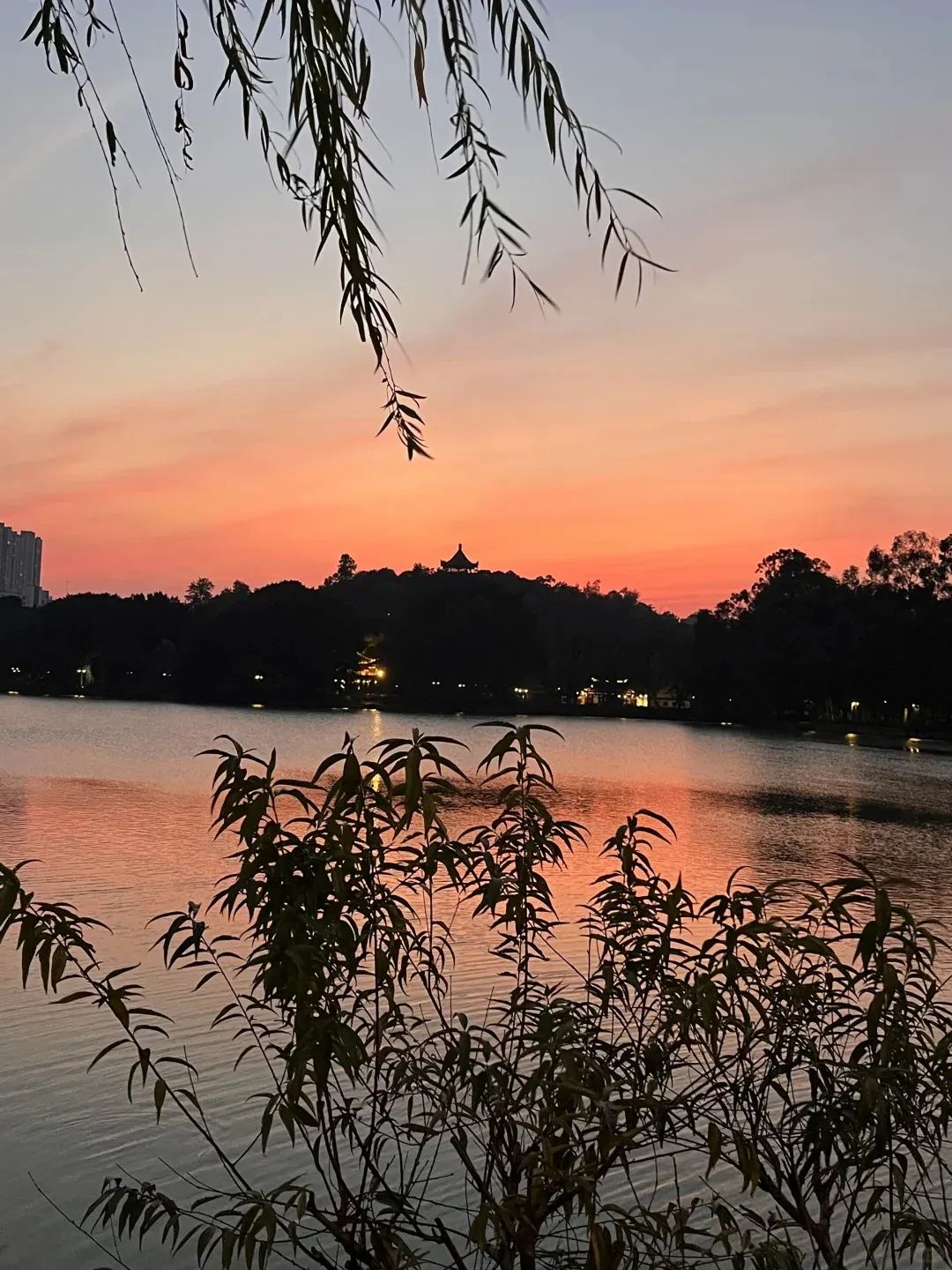 「晚霞·不晚」和黄绮珊一起看福州晚霞