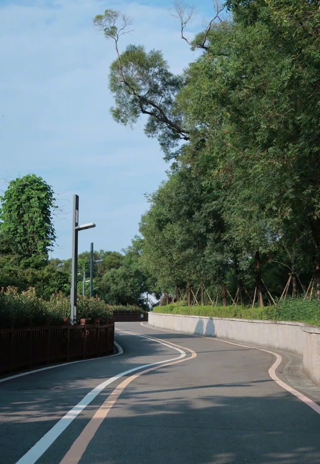 「晚霞·不晚」和黄绮珊一起看福州晚霞