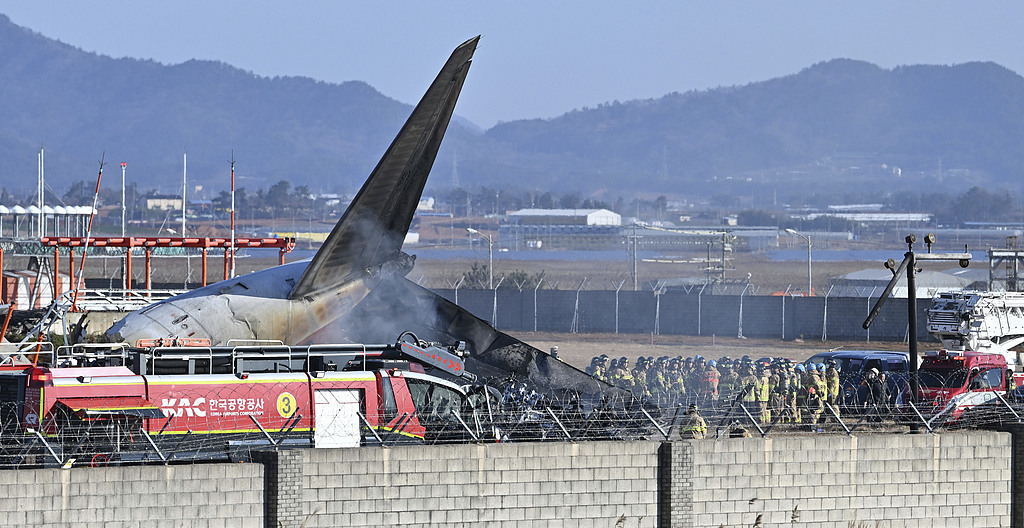 1只麻雀≈1颗炮弹 “飞鸟撞机”为何列入A级航空灾难？