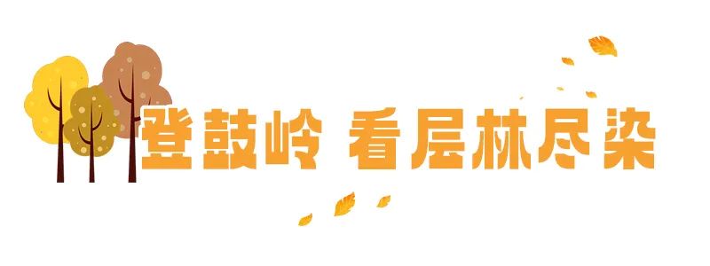 枫叶红了，银杏黄了，你来了吗？