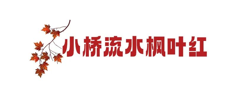 枫叶红了，银杏黄了，你来了吗？