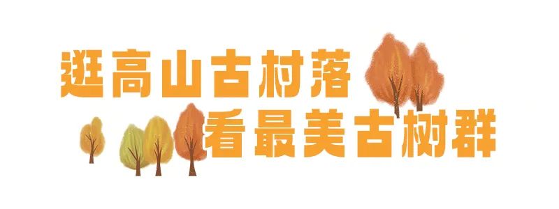 枫叶红了，银杏黄了，你来了吗？