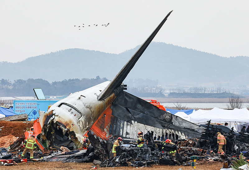 接鸟情预警后发生了什么？韩国空难更多细节公开